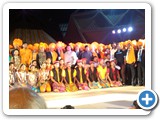 AUP_DELHI IITF 2015 (12)