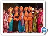 AUP_DELHI IITF 2015 (13)